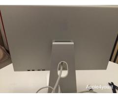 Apple Cinema Display Alluminium 20 pollici