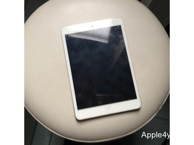 iPad mini