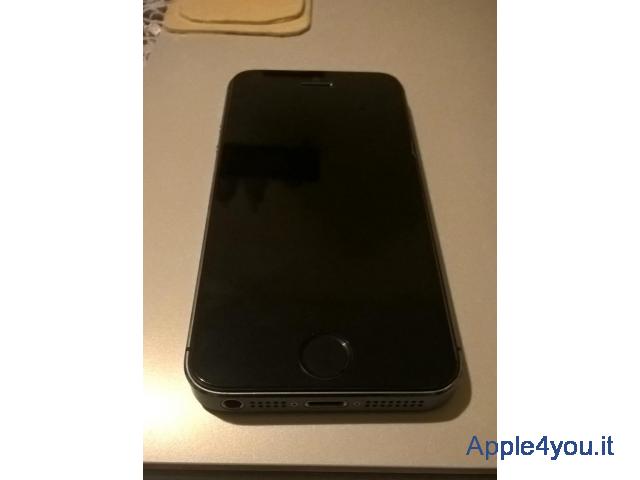 iPhone 5s 16gb