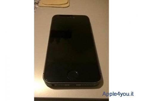 iPhone 5s 16gb