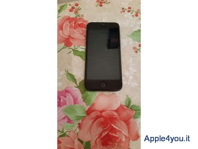 iPhone 5  16gb