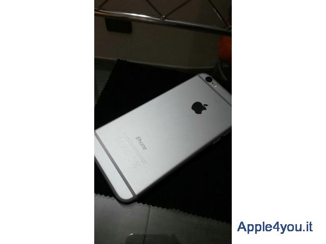 iPhone 6