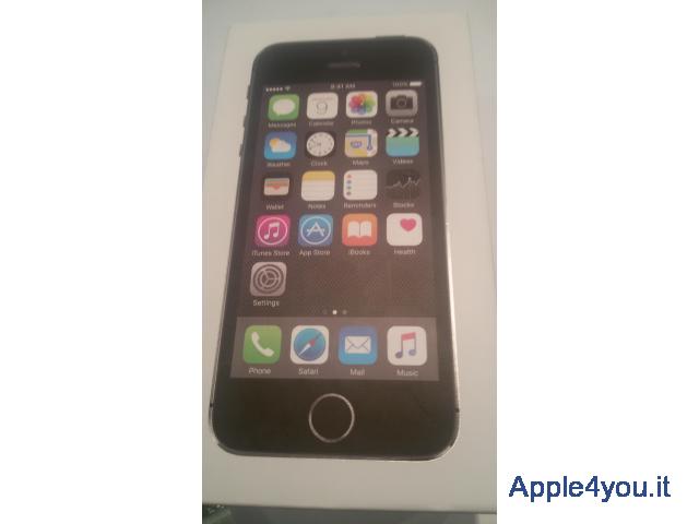 iphone5s/16gb