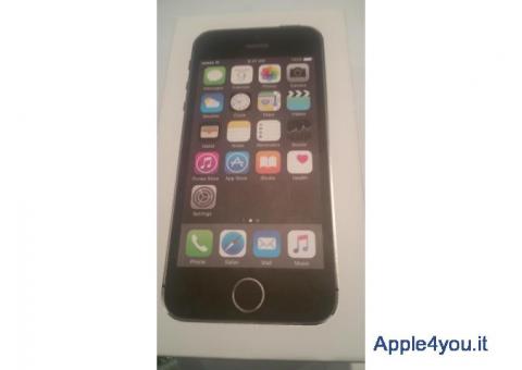 iphone5s/16gb