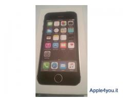 iphone5s/16gb