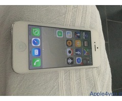 iPhone 5 bianco silver