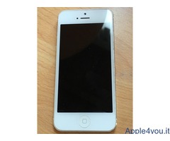 Vendo iPhone 5 bianco 32 Gb