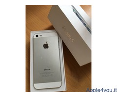 Vendo iPhone 5 bianco 32 Gb