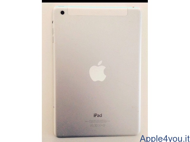 iPad mini