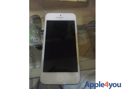 VENDO IPHONE 5