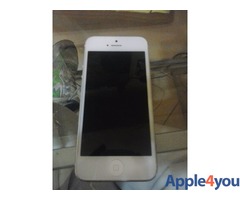 VENDO IPHONE 5