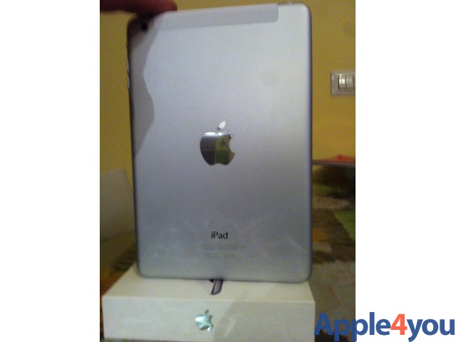 iPad mini