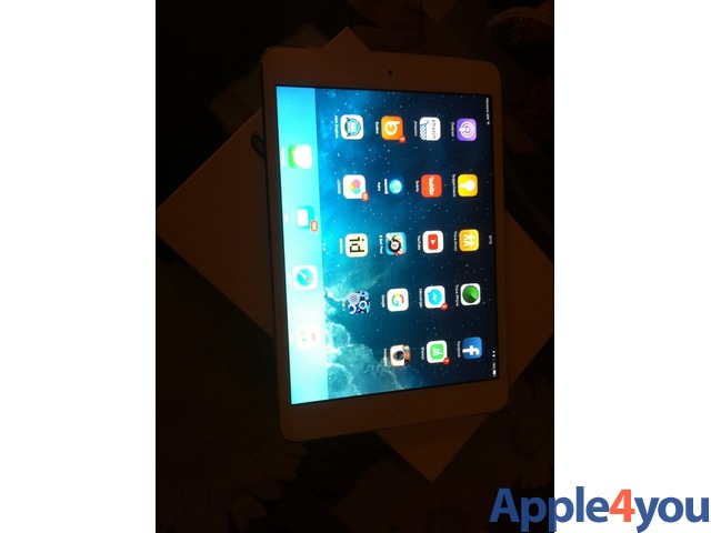 iPad mini