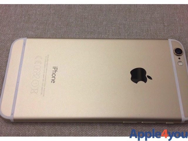 2 iPhone 6 Oro e Grigio