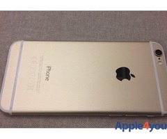 2 iPhone 6 Oro e Grigio
