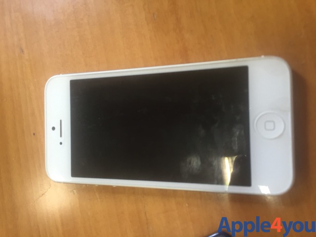 iPhone 5 bianco 16g