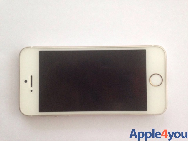 iPhone 5s 16gb ( usato)