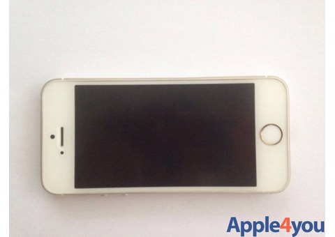 iPhone 5s 16gb ( usato)