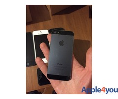 Iphone 5 Nero/Bianco Usato originale 16gb